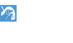 Stevenson Village Veterinary Hospital